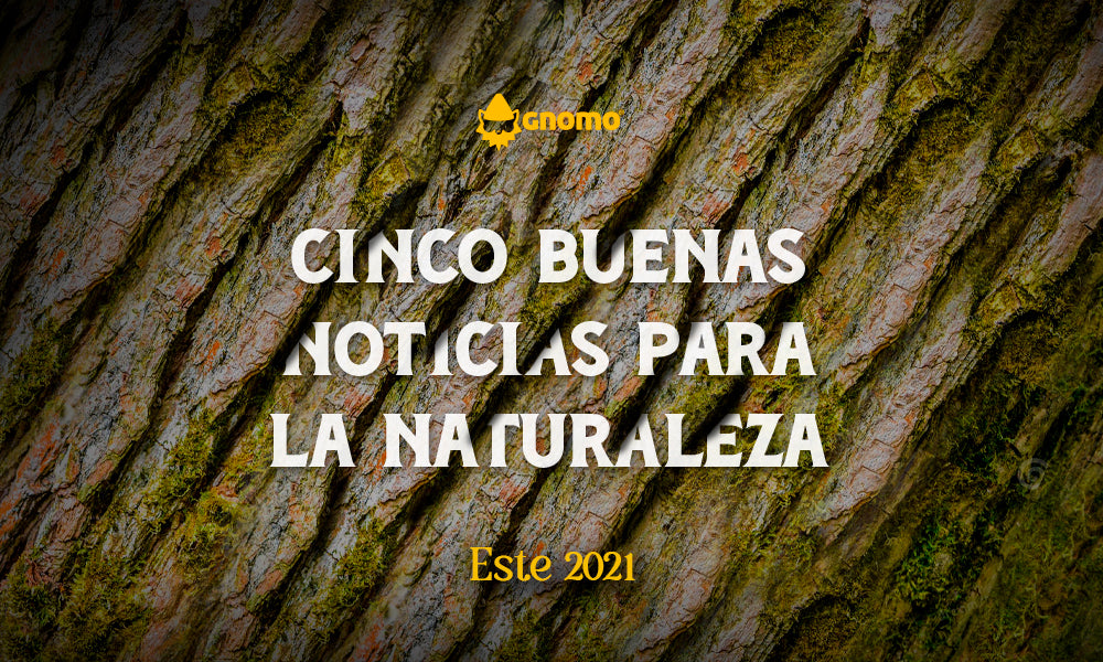 Cinco buenas noticias para celebrar con la naturaleza este 2021